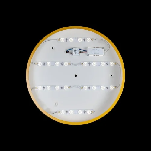 Светильник потолочный LED Axel 10002/24 Yellow LOFT IT белый 1 лампа, основание жёлтое в стиле современный  фото 3