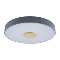 Светильник потолочный LED Axel 10003/24 Grey LOFT IT белый 1 лампа, основание серое в стиле современный 