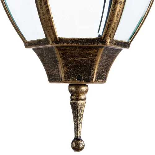 Подвесной светильник PEGASUS A3151SO-1BN Arte Lamp уличный IP44 золотой чёрный 1 лампа, плафон прозрачный в стиле классический E27 фото 4
