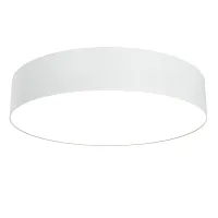 Светильник потолочный LED Zon C032CL-L43W3K Maytoni белый 1 лампа, основание белое в стиле современный хай-тек 