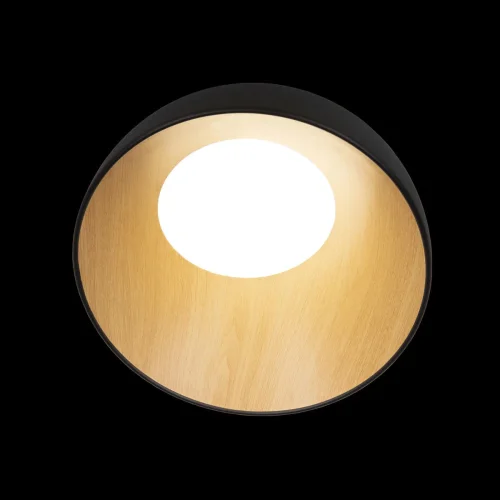 Светильник потолочный LED Egg 10197/350 Black LOFT IT белый чёрный коричневый 1 лампа, основание коричневое чёрное в стиле современный  фото 4
