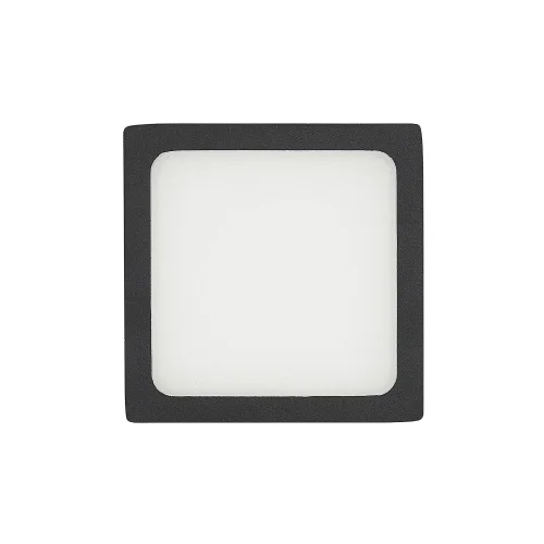 Светильник точечный LED Омега CLD50K082 Citilux белый 1 лампа, основание чёрное в стиле модерн  фото 3