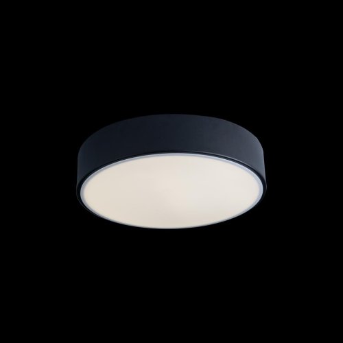 Светильник потолочный LED Axel 10002/12 Black LOFT IT белый 1 лампа, основание чёрное в стиле современный  фото 5
