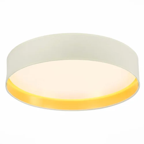 Люстра потолочная LED Brescia SLE300552-01 Evoluce белая на 1 лампа, основание белое в стиле современный  фото 2