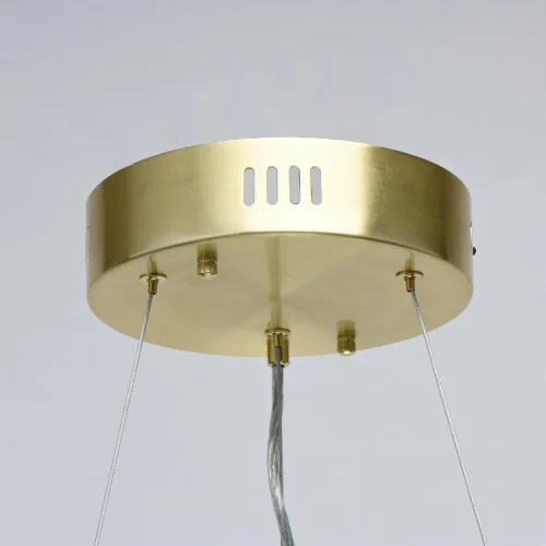 Люстра подвесная LED с пультом Аделард 642014801 MW-Light прозрачная на 1 лампа, основание латунь в стиле классический с пультом фото 12