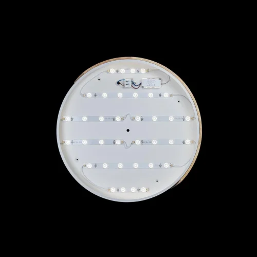 Светильник потолочный LED Axel 10004/36 White LOFT IT белый 1 лампа, основание белое бежевое в стиле современный  фото 3