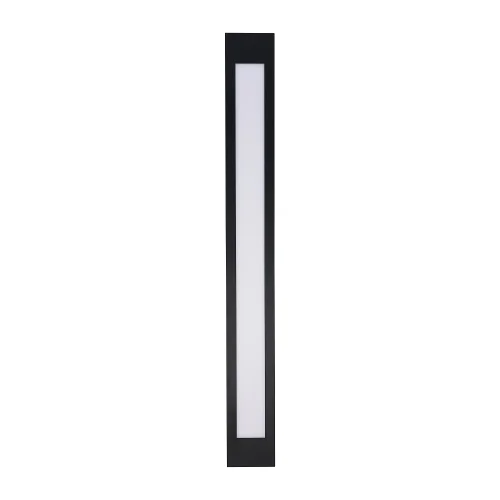 Светильник потолочный LED Meridiem 4004-2W Favourite белый 2 лампы, основание чёрное в стиле современный  фото 2