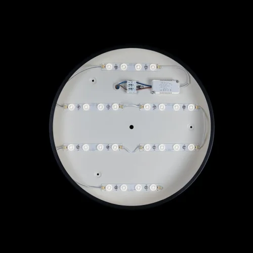 Светильник потолочный LED Axel 10002/24 Black LOFT IT белый 1 лампа, основание чёрное в стиле современный  фото 3