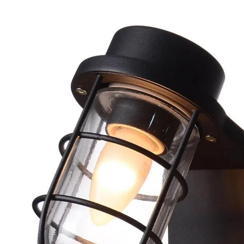 Настенный светильник Pointer 3021-1W Favourite уличный IP44 чёрный 1 лампа, плафон прозрачный в стиле современный E27 фото 3
