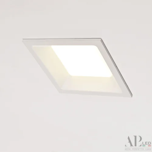 Светильник точечный LED Ingrid 3322.LDF5016/5W/4K Arte Perfetto Luce белый 1 лампа, основание белое в стиле современный  фото 5