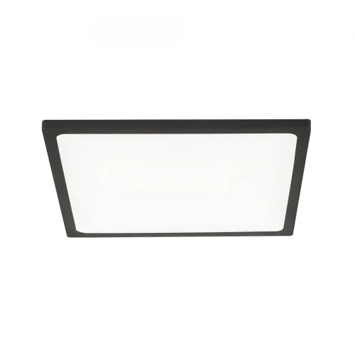 Светильник точечный LED Омега CLD50K222 Citilux белый 1 лампа, основание чёрное в стиле современный 