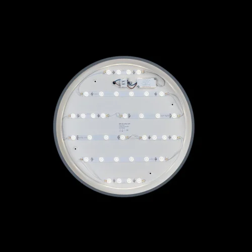 Светильник потолочный LED Axel 10001/36 Grey LOFT IT белый 1 лампа, основание серое в стиле современный  фото 3