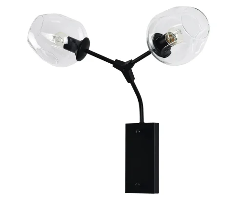 Бра Нисса 07512-2,19(21) Kink Light прозрачный на 2 лампы, основание чёрное в стиле современный 