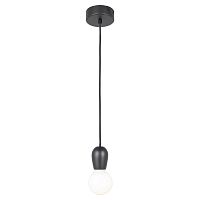 Светильник подвесной Maricopa LSP-8118 Lussole без плафона 1 лампа, основание чёрное в стиле современный 