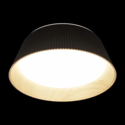 Светильник потолочный LED Evans 10224 Black LOFT IT белый 1 лампа, основание коричневое чёрное в стиле современный  фото 4