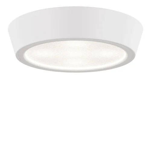 Светильник накладной LED Urbano mini 214704 Lightstar белый 1 лампа, основание белое в стиле хай-тек круглый