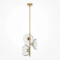 Светильник подвесной Miracle MOD207PL-03BS Maytoni прозрачный 3 лампы, основание латунь в стиле современный флористика 
