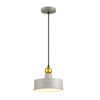 Светильник подвесной Bolli 4089/1 Odeon Light серый 1 лампа, основание серое в стиле лофт 