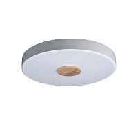 Светильник потолочный LED Axel 10003/24 White LOFT IT белый 1 лампа, основание белое в стиле модерн 