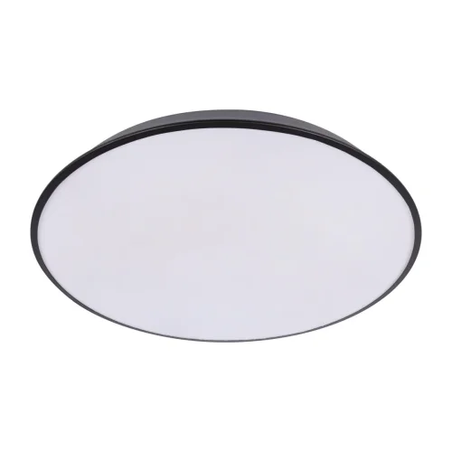 Светильник потолочный LED Brim 10226 Black LOFT IT белый 1 лампа, основание чёрное в стиле современный  фото 3