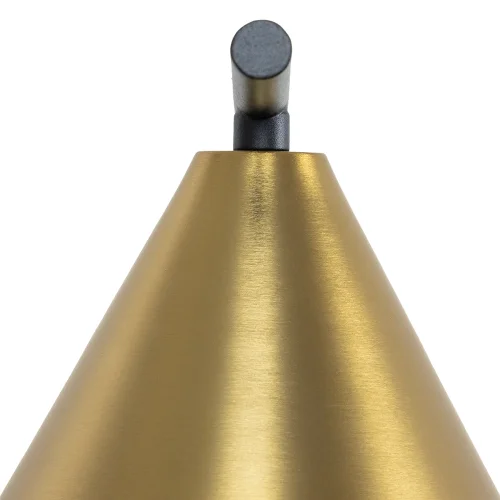 Бра David A7033AP-1BK Arte Lamp латунь на 1 лампа, основание чёрное в стиле современный лофт  фото 3