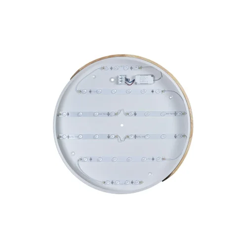Светильник потолочный LED Axel 10004/36 White LOFT IT белый 1 лампа, основание белое бежевое в стиле современный  фото 4