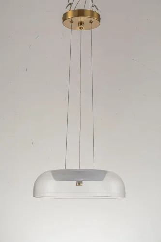 Светильник подвесной LED Narbolia L 1.P4 CL Arti Lampadari прозрачный 1 лампа, основание золотое в стиле хай-тек современный 