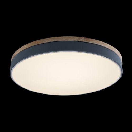 Светильник потолочный LED Axel 10001/36 Grey LOFT IT белый 1 лампа, основание серое в стиле современный  фото 5