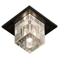 Светильник потолочный Notte Di Luna GRLSF-1300-01 Lussole прозрачный 1 лампа, основание хром в стиле модерн 