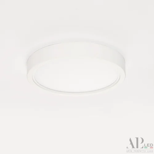 Светильник накладной LED Ingrid 3322.LDY1604M/12W/6K Arte Perfetto Luce белый 1 лампа, основание белое в стиле современный круглый фото 12
